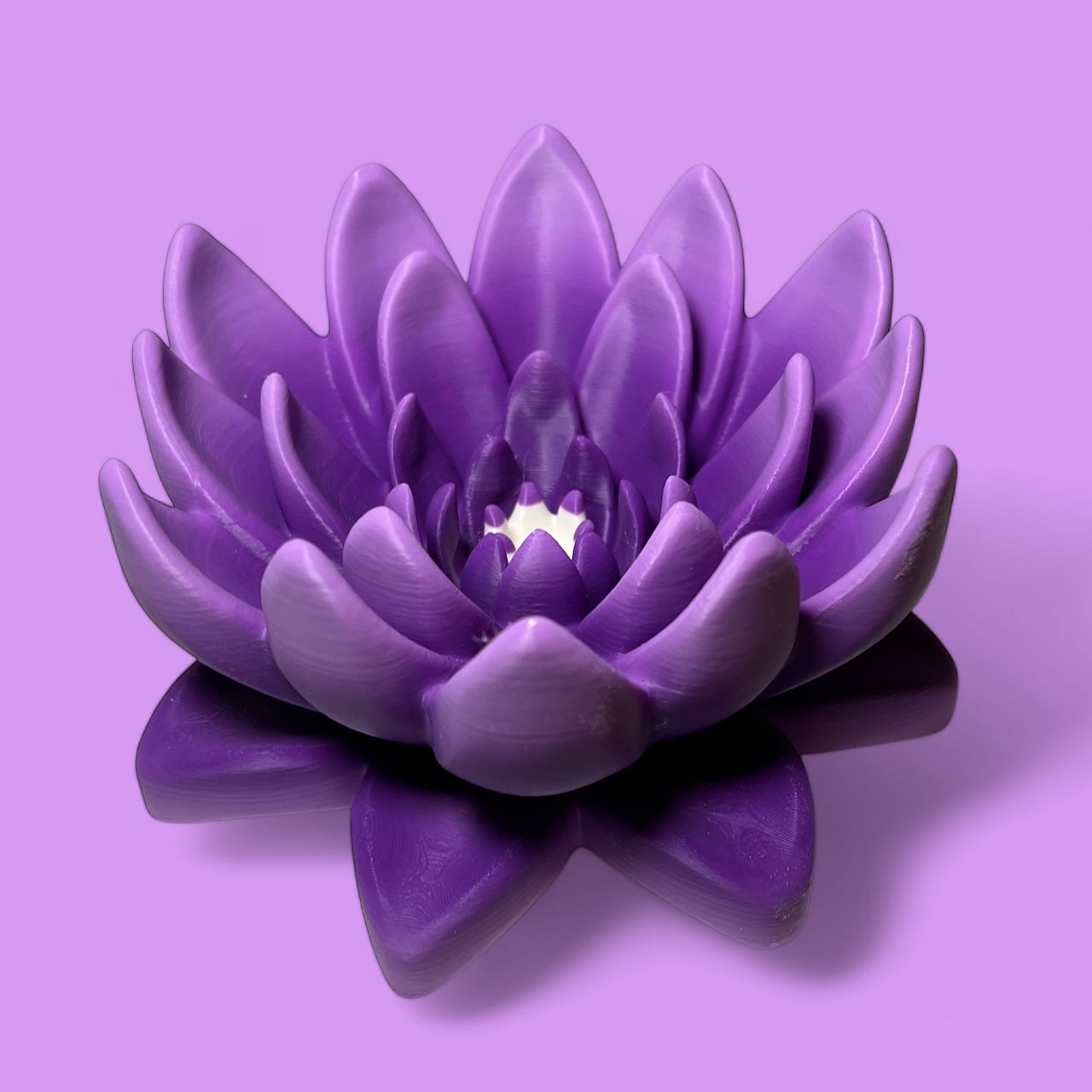 Water Lilly Decoration