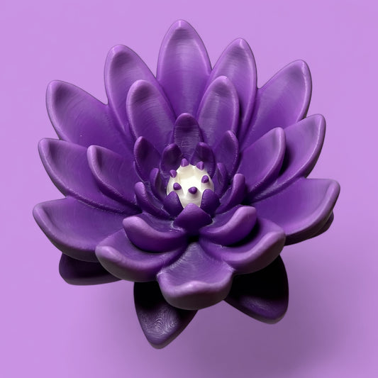 Water Lilly Decoration