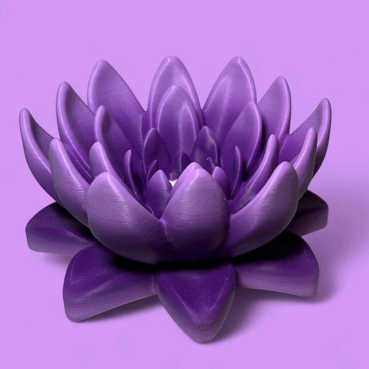 Water Lilly Decoration