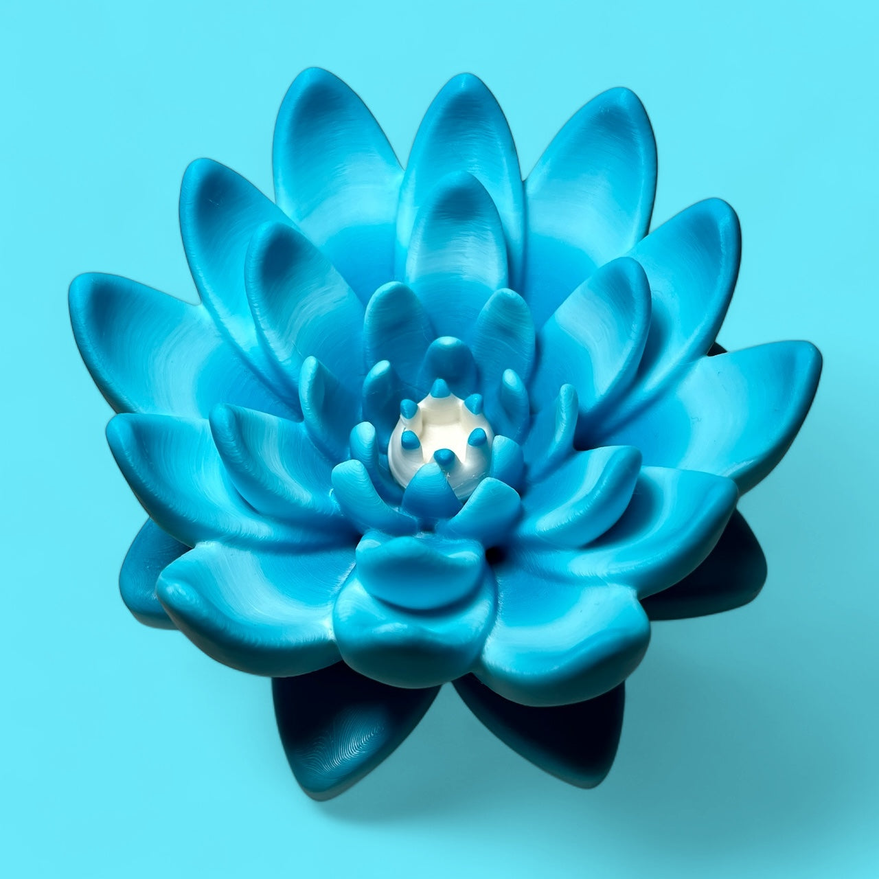 Water Lilly Decoration